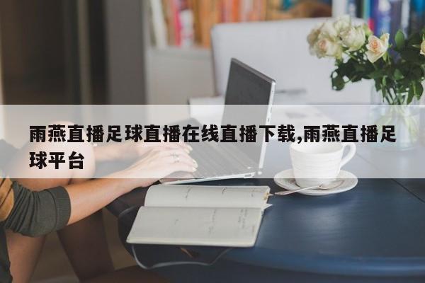 雨燕直播足球直播在线直播下载,雨燕直播足球平台